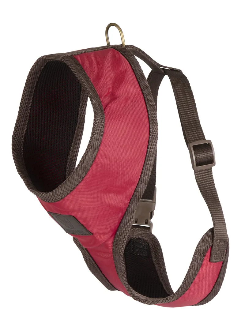 Digby and Fox Heritage Dog Harness in Scarlett